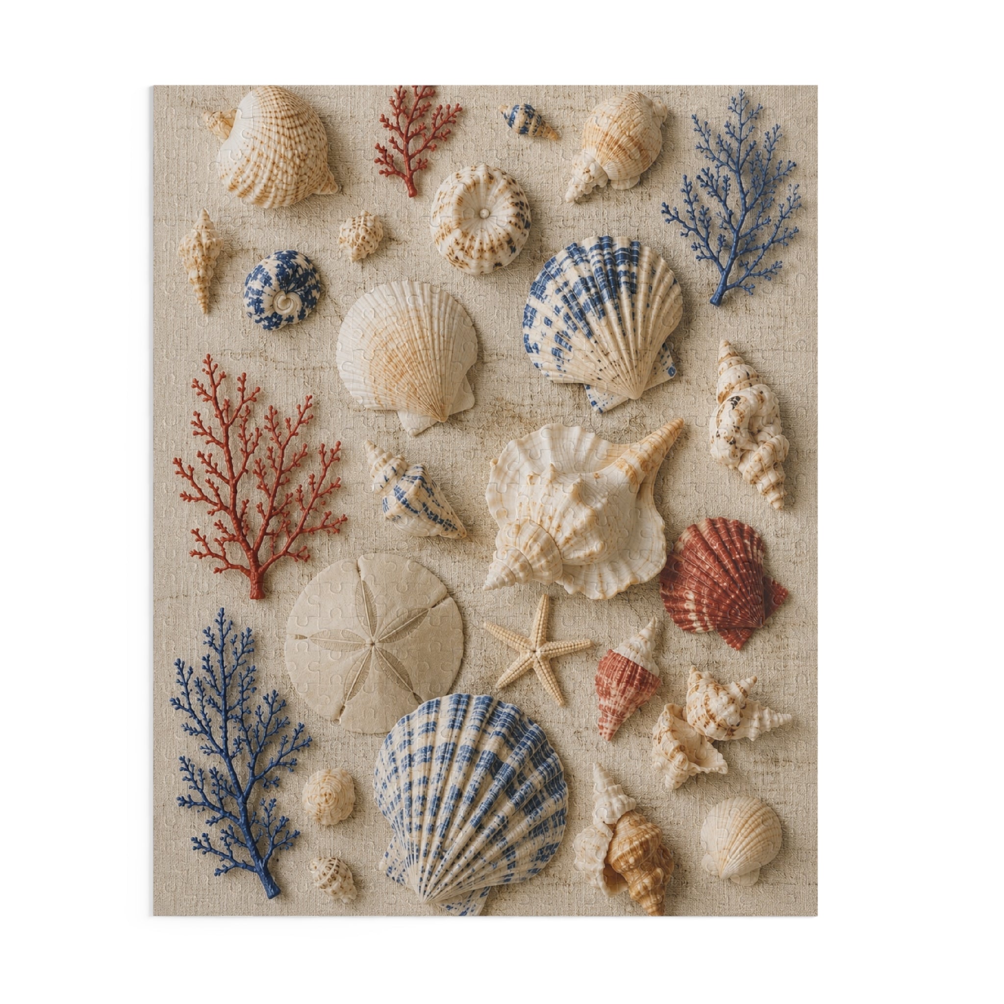 Seaside Shell Collection Puzzle