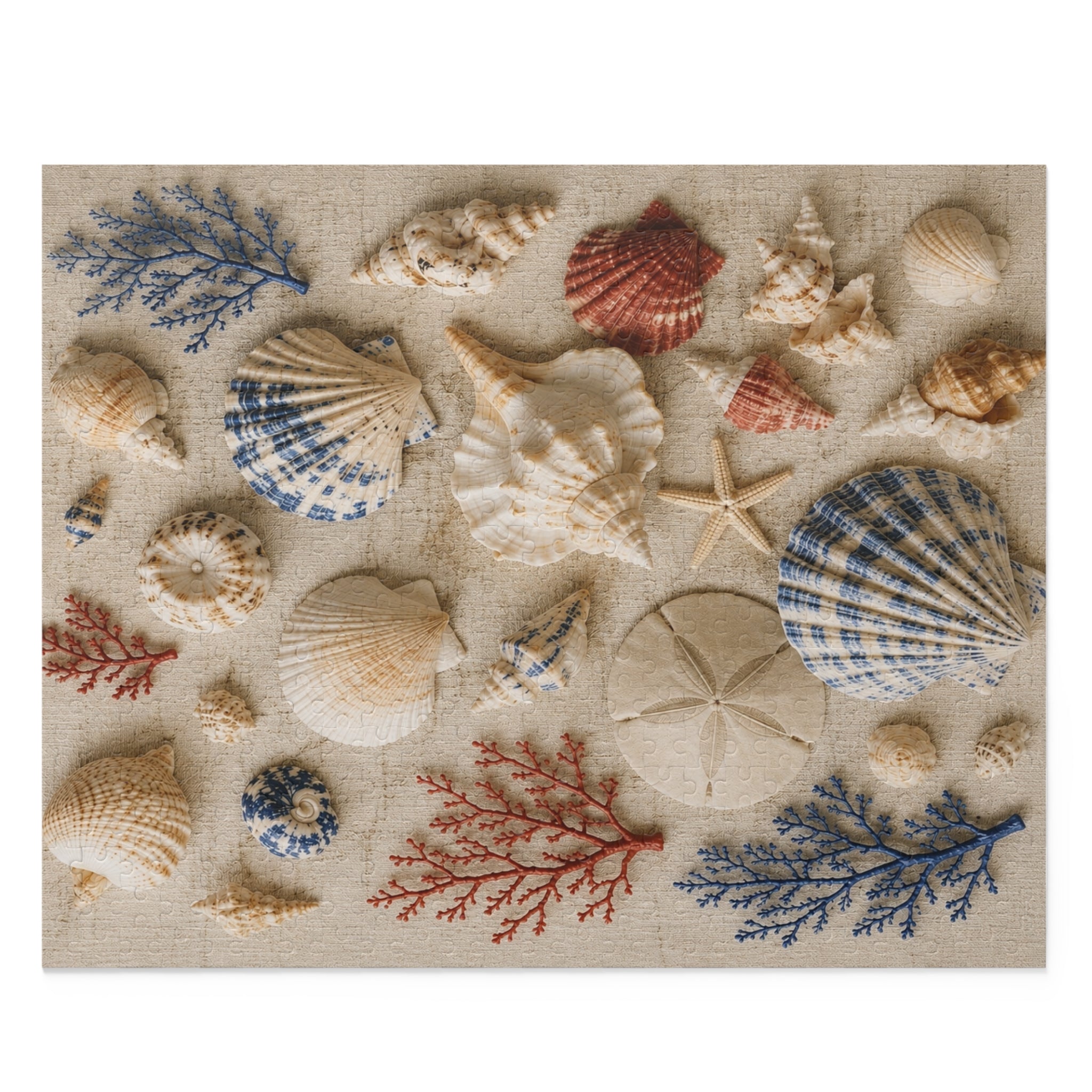 Seaside Shell Collection Puzzle