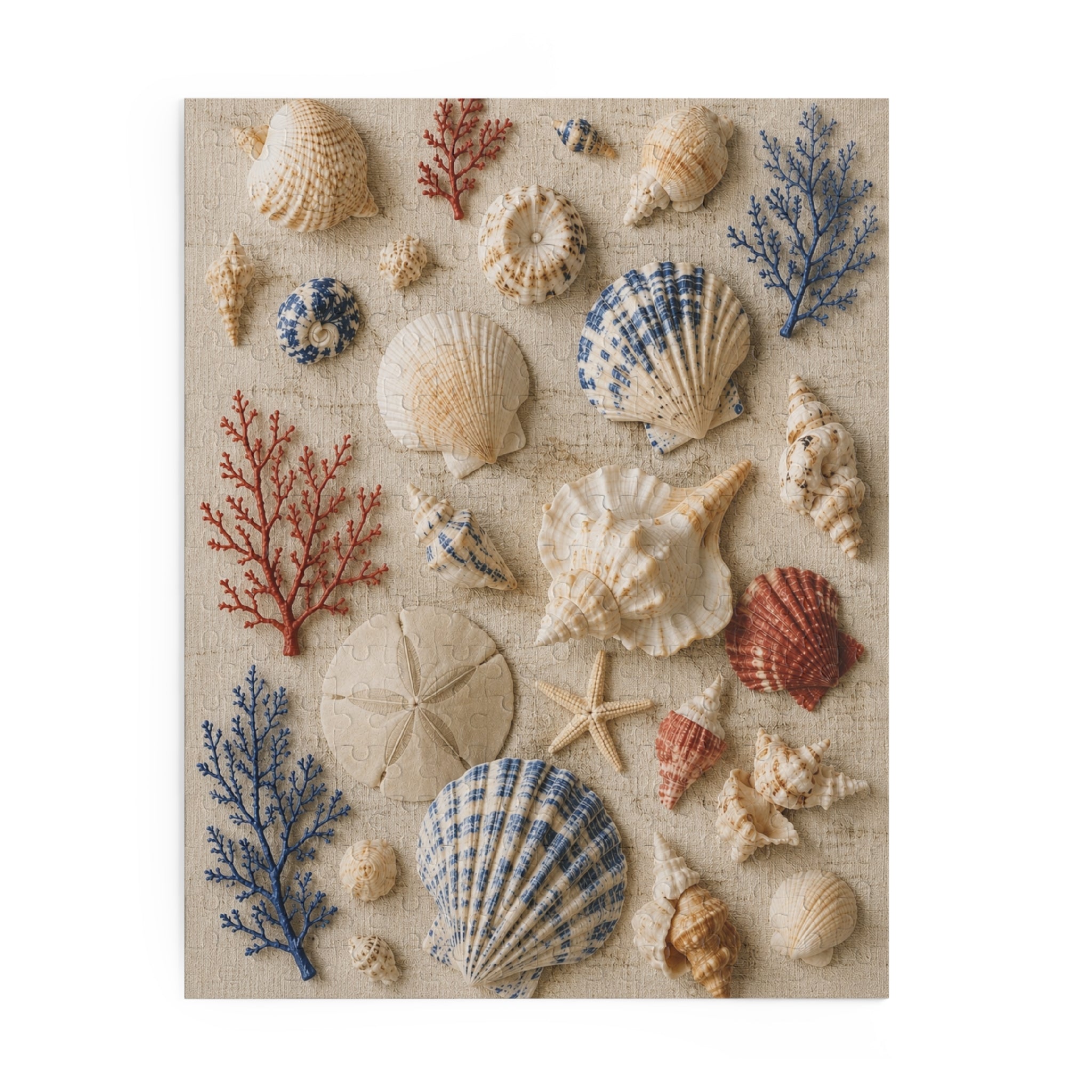 Seaside Shell Collection Puzzle