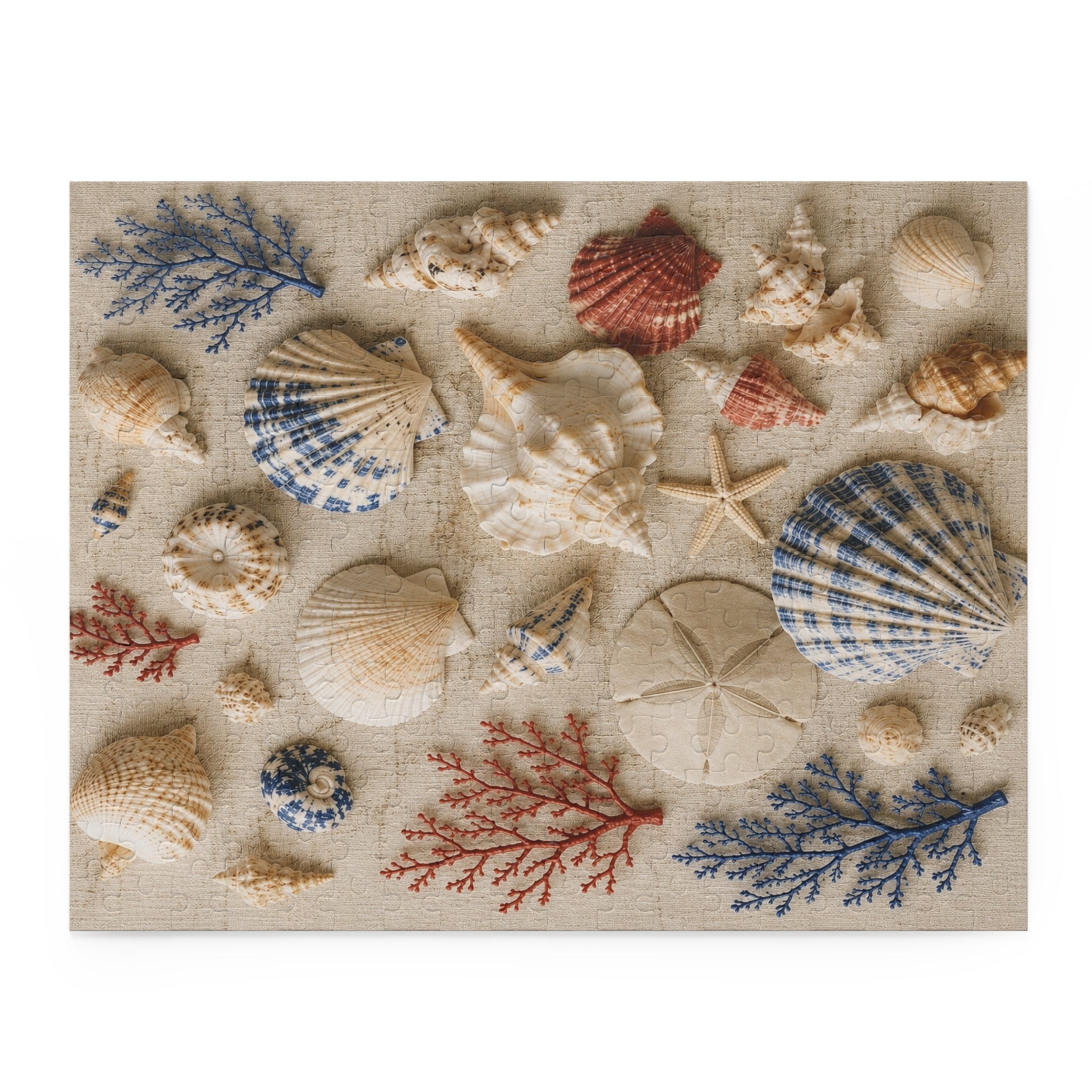 Seaside Shell Collection Puzzle