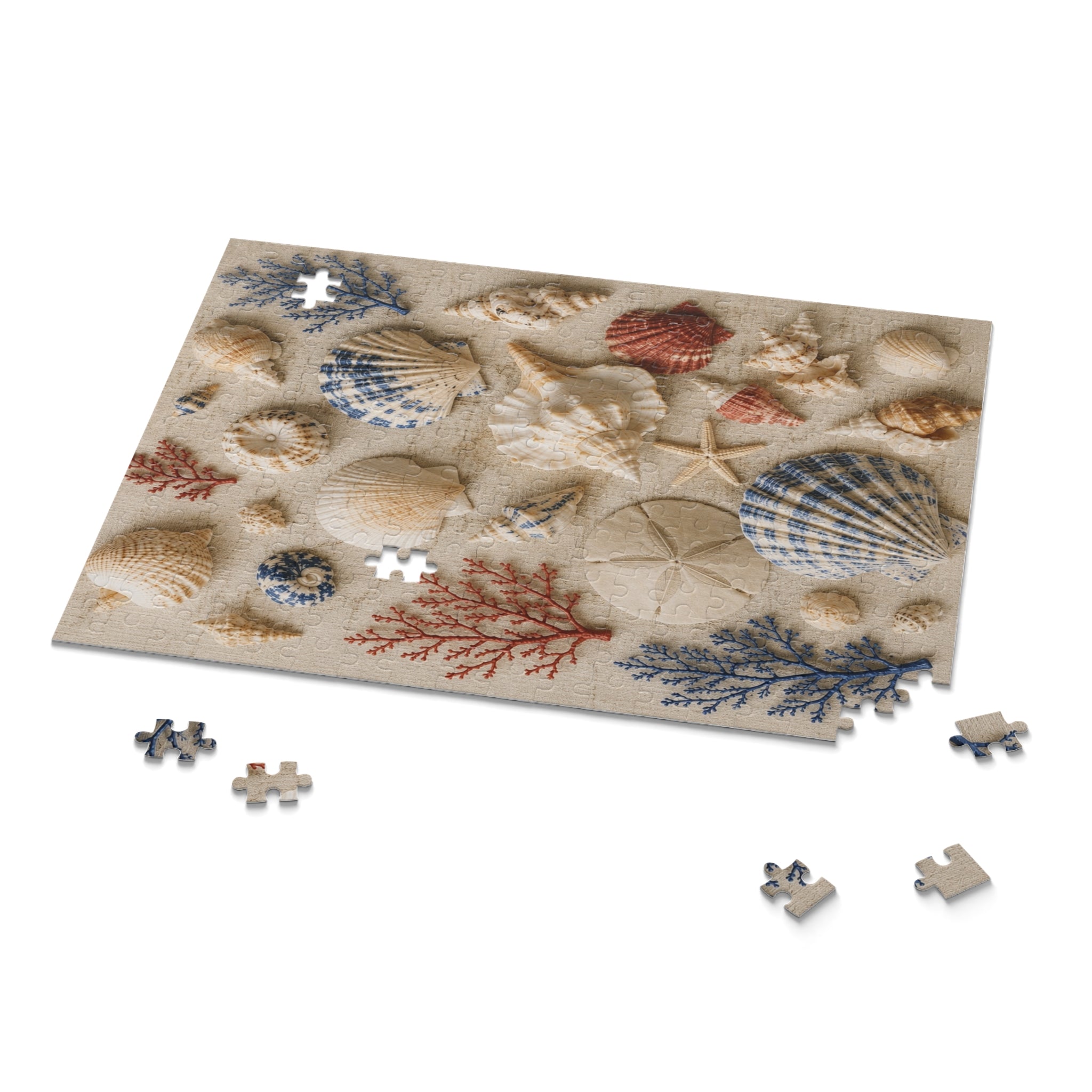 Seaside Shell Collection Puzzle